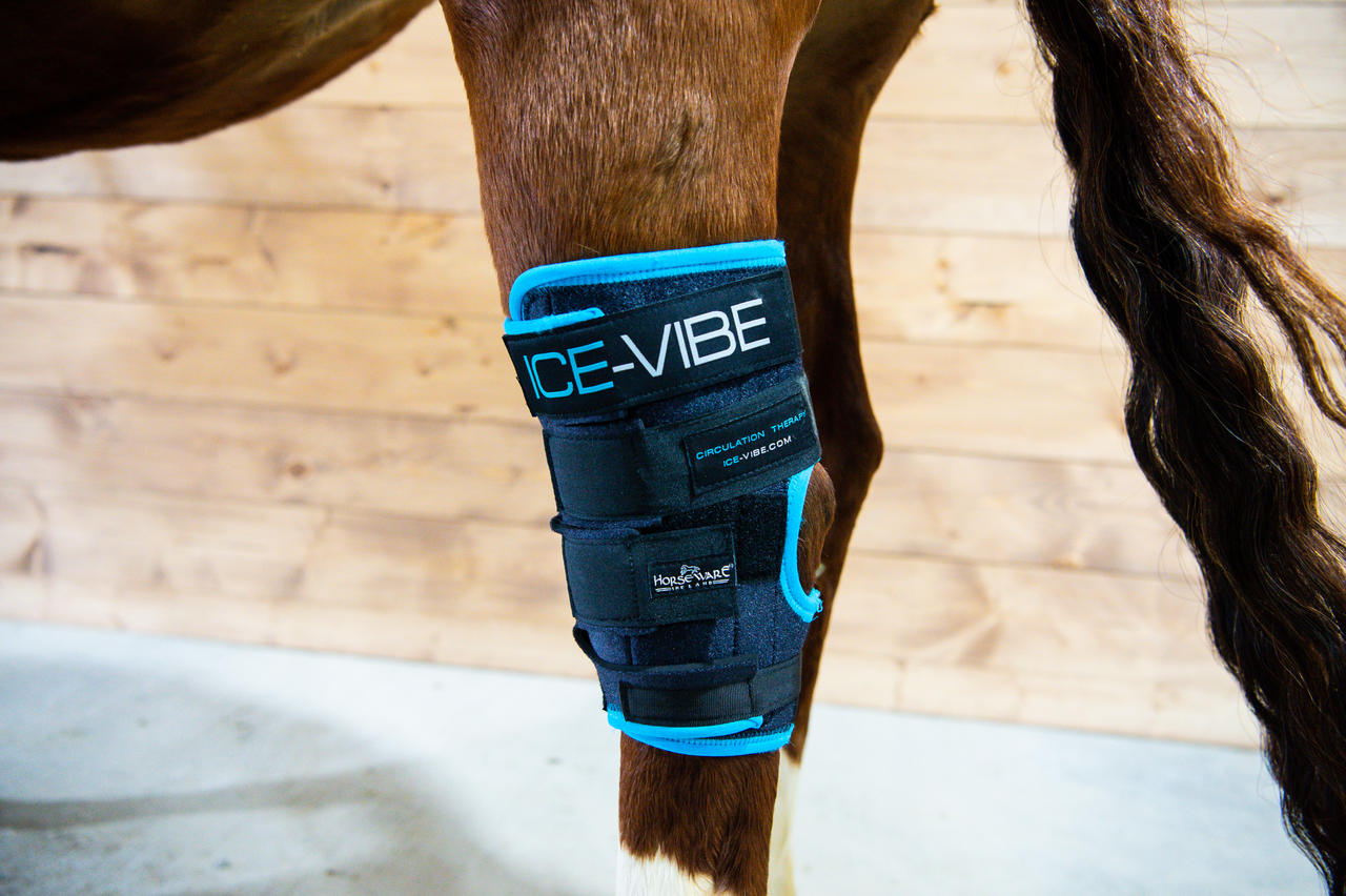 Horseware ice deals vibe