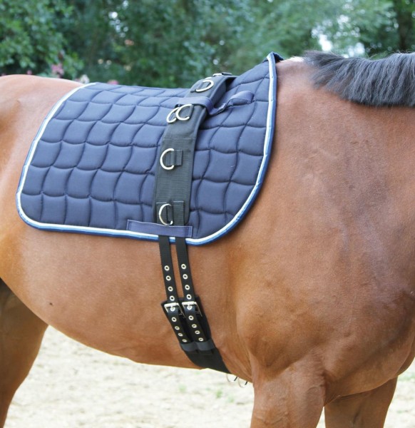 Longiergurt NylonNeopren WAHL Reitsport