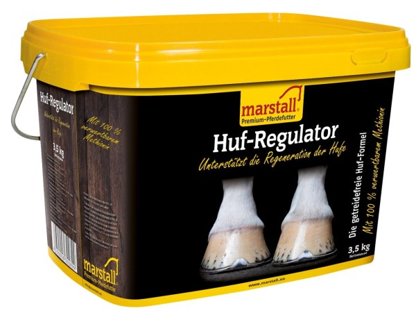 marstall Huf-Regulator