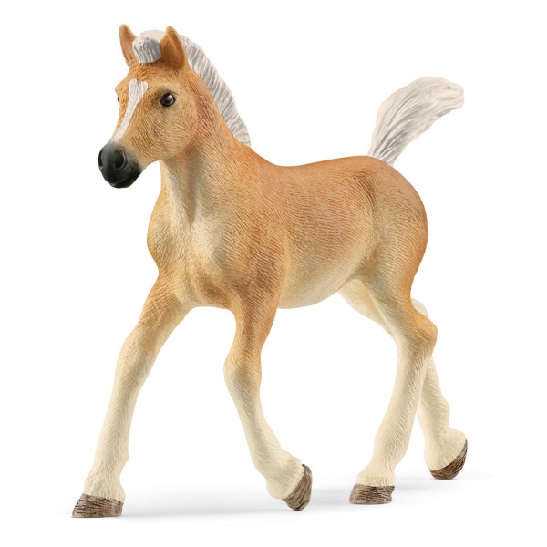 Schleich Haflinger Fohlen