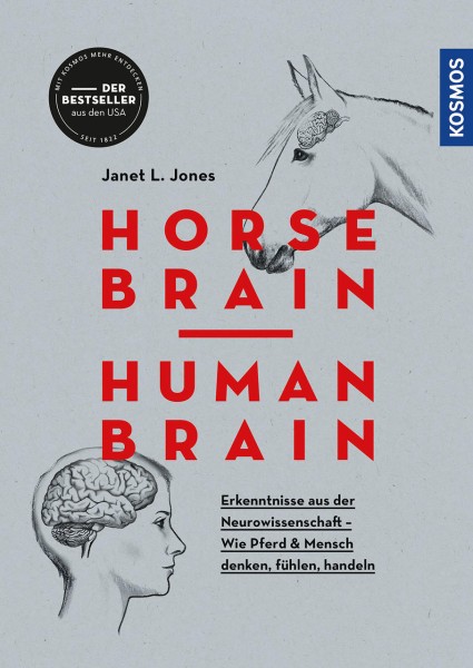 Kosmos Horse Brain Human Brain