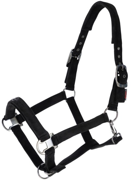 Covalliero Halfter