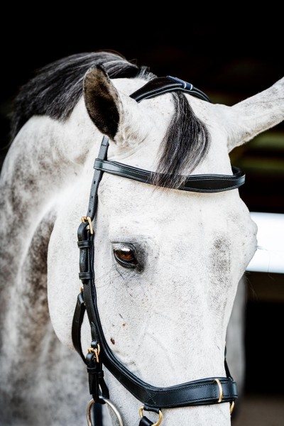 Horseware Micklem 2 Multi Bridle